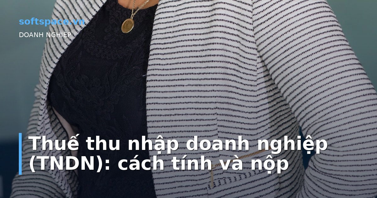 Bài viết Thuế thu nhập doanh nghiệp (TNDN): cách tính và nộp